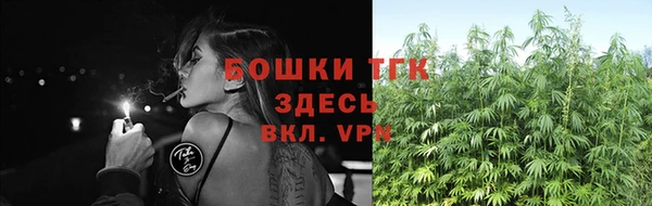 ПСИЛОЦИБИНОВЫЕ ГРИБЫ Осташков