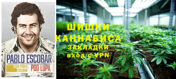 ПСИЛОЦИБИНОВЫЕ ГРИБЫ Осташков