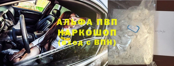 молекула духа Осинники