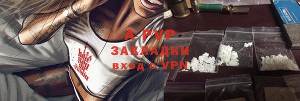 ПСИЛОЦИБИНОВЫЕ ГРИБЫ Осташков