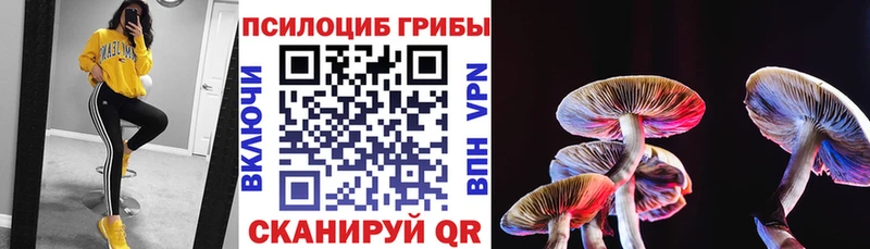 Галлюциногенные грибы Psilocybine cubensis  Тихорецк 